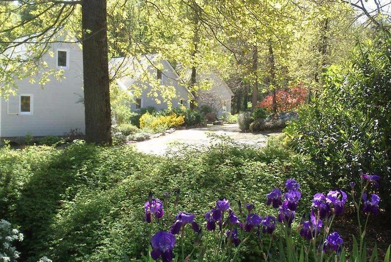 Les Chalets De Saumur, Piscine & Parc Boise, 100M Du Cadrenoir Exteriér fotografie