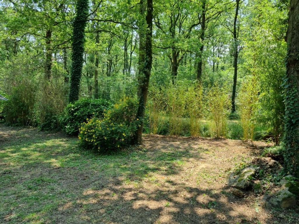 Les Chalets De Saumur, Piscine & Parc Boise, 100M Du Cadrenoir Exteriér fotografie