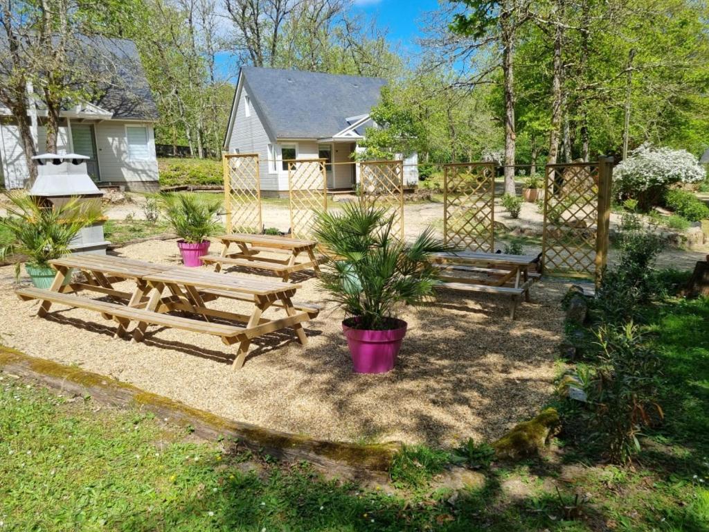 Les Chalets De Saumur, Piscine & Parc Boise, 100M Du Cadrenoir Exteriér fotografie