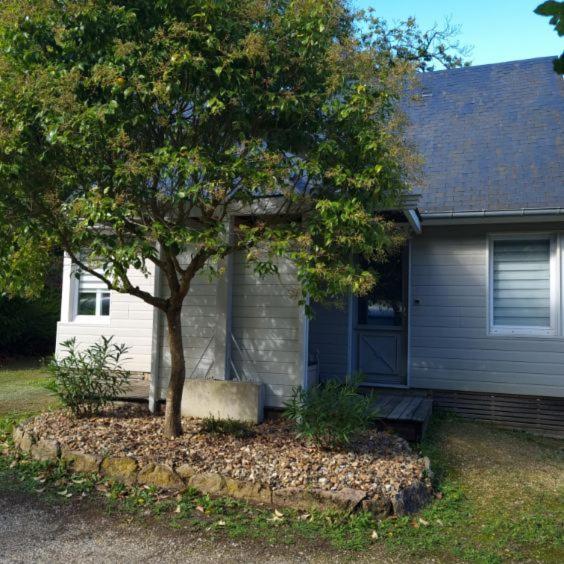 Les Chalets De Saumur, Piscine & Parc Boise, 100M Du Cadrenoir Exteriér fotografie